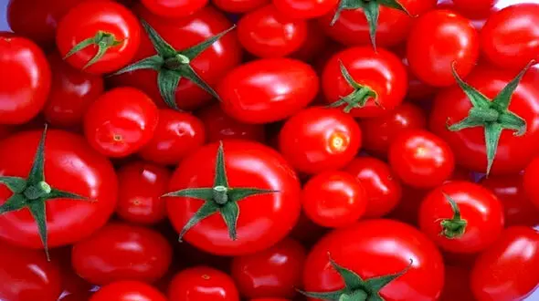 نکات طلایی در انتخاب گوجه فرنگی مناسب + فیلم