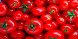 باران نبارید، گو‌جه‌ فرنگی 70 هزار تومان شد!