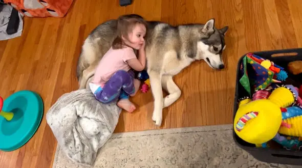 ببینید / دوستی کودکان با حیوانات خانگی + فیلم 