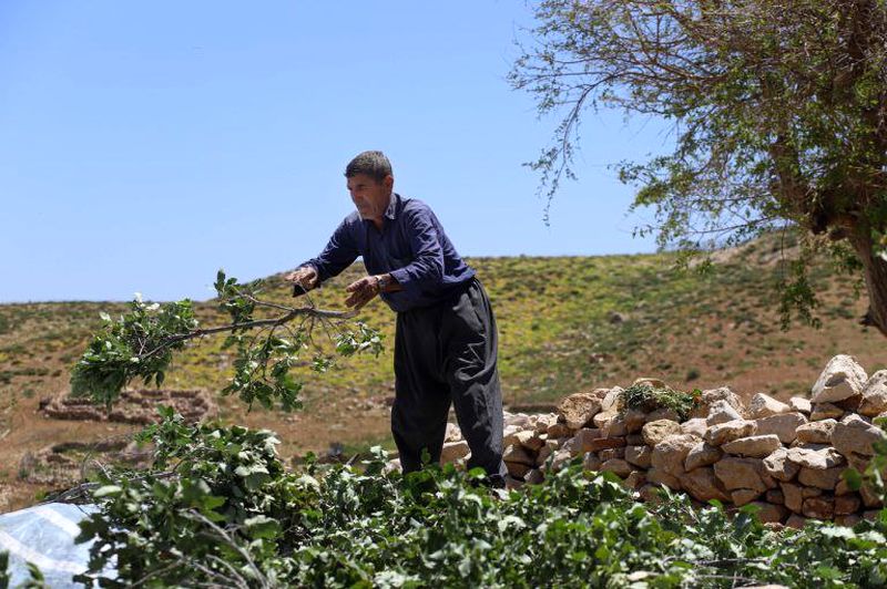 طبیعت روستای پالنگان