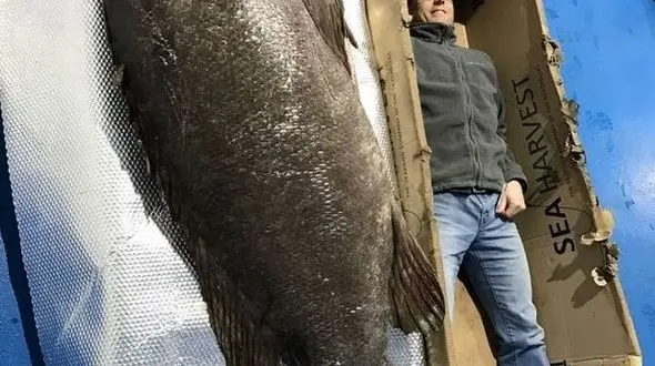 صیادان غیرمجاز سد سلمان فارسی به دام افتادند