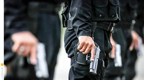 تصویب کلیات لایحه اصلاح بکارگیری سلاح در کمیسیون امنیت ملی 