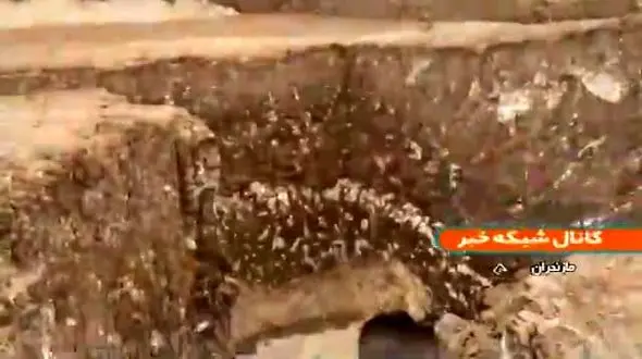 کشف پیکر زن دوره اشکانی در مازندران /  دفن‌شده با ۴۵ هدیه + فیلم