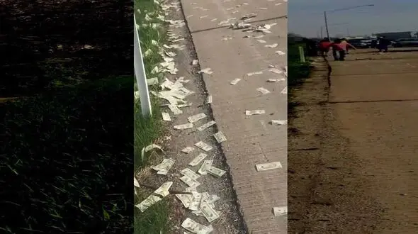 ماجرای عجیب باران پول در بزرگراه !+فیلم