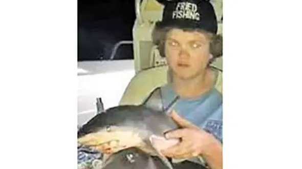 جنجال به خاطر درست کردن قلیان با پوست کوسه+عکس