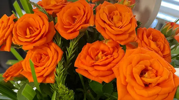 فال ابجد امروز / اول مرداد + فیلم 