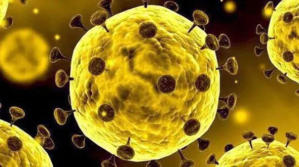 کرونا 3 اسراییلی را درگیر کرد / تایید شد
