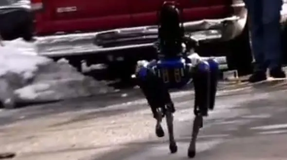 سگ آهنین پلیس برای بازداشت خلافکاران + فیلم