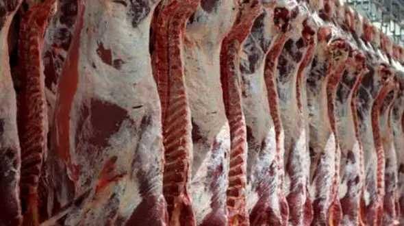 تولید سالانه ۱۹۵ هزار تن گوشت قرمز توسط جامعه عشایری کشور