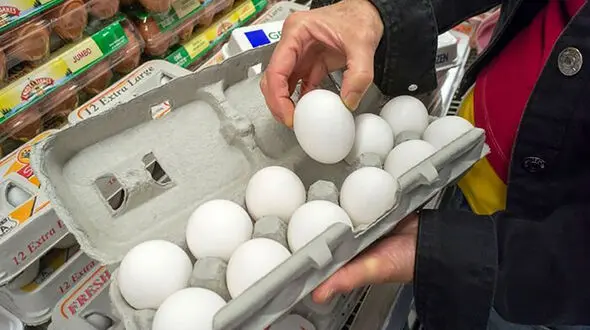 قیمت تخم مرغ رکورد زد