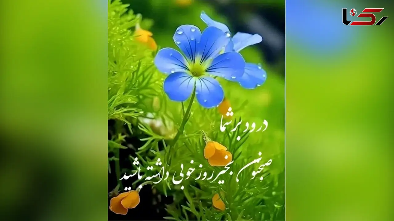 فال ابجد امروز 12 اردیبهشت 1405