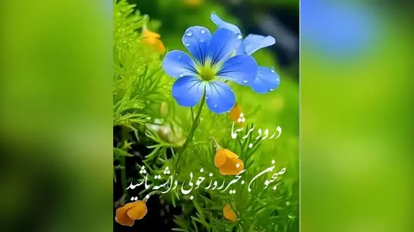 فال ابجد امروز 12 اردیبهشت 1405