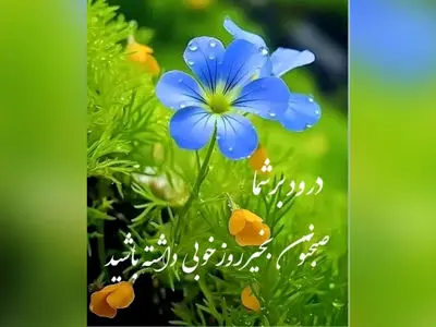 فال ابجد امروز 12 اردیبهشت 1405