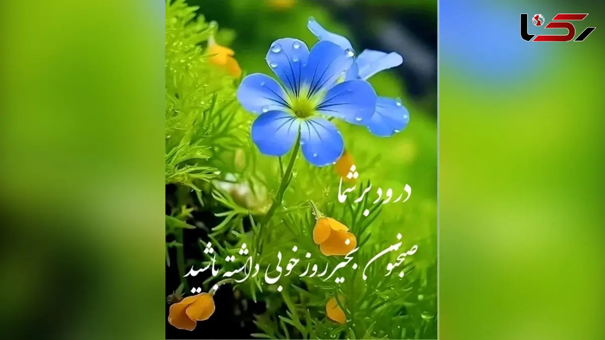 فال ابجد امروز 12 اردیبهشت 1405