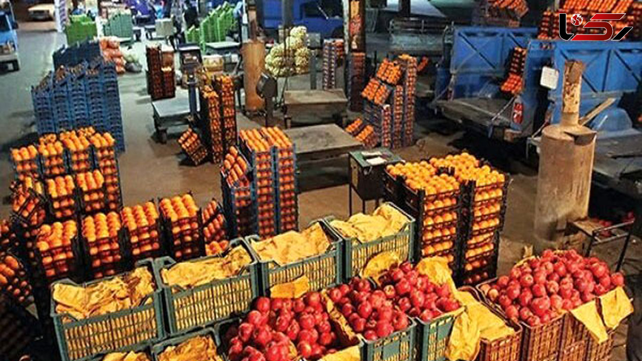 افزایش ۳۰ درصدی میوه ذخیره شده طرح تنظیم بازار در استان همدان
