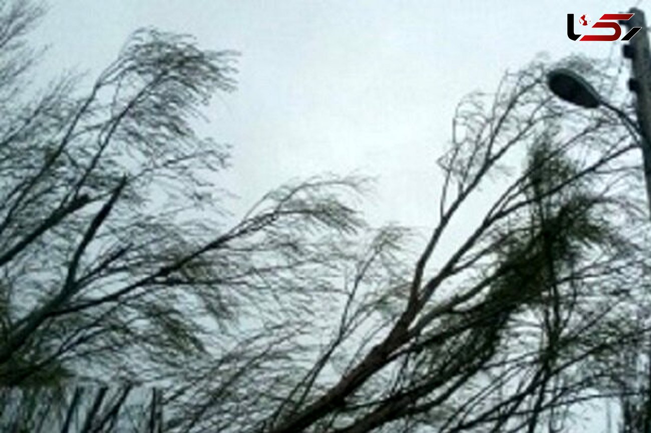 
سقوط 6 اصله درخت بر اثر وزش شدید باد در فومن