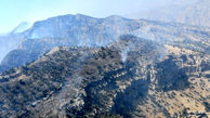 آتش سوزی در دامنه کوه دلا همچنان ادامه دارد
