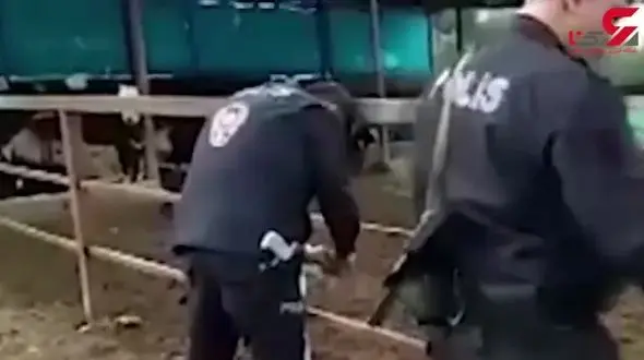 فیلم هولناک از تنبیه دختر و پسر خردسال توسط پدر بی رحم