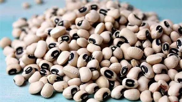 خانم ها لوبیا چشم بلبلی بخورند