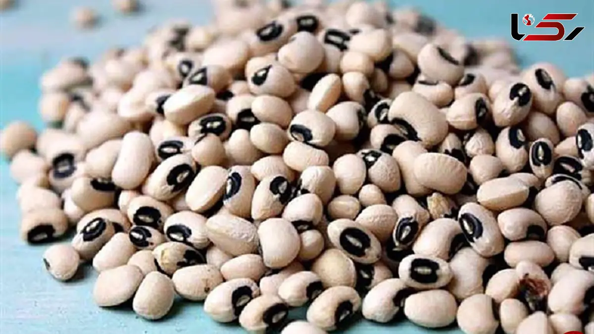 خانم ها لوبیا چشم بلبلی بخورند