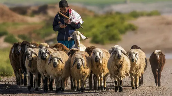 نجات معجزه آسای چوپان 17 ساله در دل کوهستان / ساعت ها جدال با مرگ