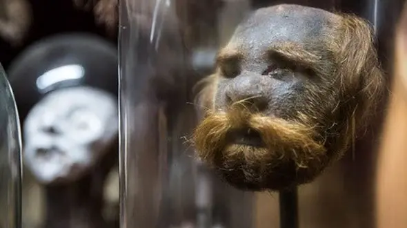 
عجیب ترین ها در موزه ای به رنگ خون + تصاویر
