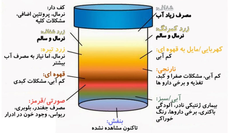 نشانه های ادرار از روی ظاهر