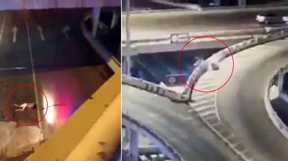 سقوط مرگبار موتورسوار از روی پل  + فیلم