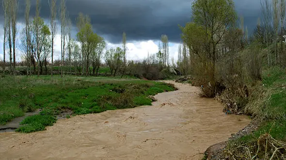 چرا رود چالوس گل آلود شد؟