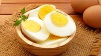 پخش موسیقی برای مرغ های تخمگذار