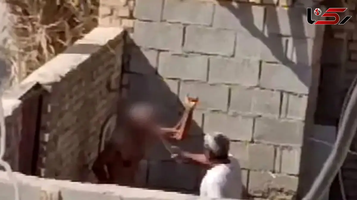 رسیدگی فوری به پرونده سالمند آزاردیده در آبادان / رئیس بهزیستی:  امروز به یکی از مراکز نگهداری سالمندان منتقل شد + فیلم