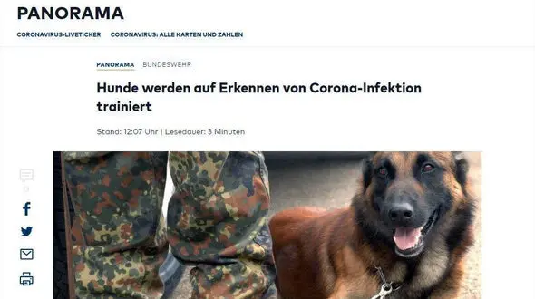 این 10 سگ کرونا یاب هستند! / ارتش آلمان آموزش داد + عکس