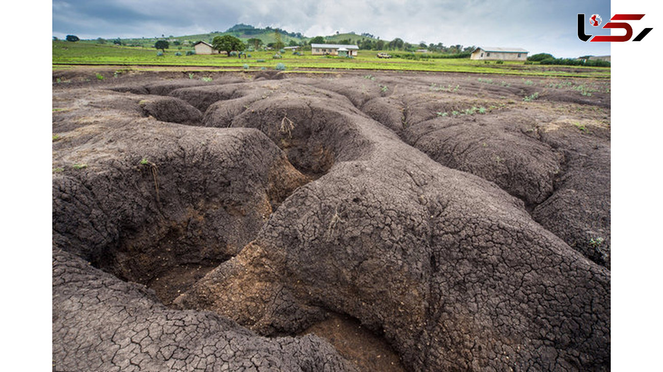خاک  یک سوم جهان مرده است