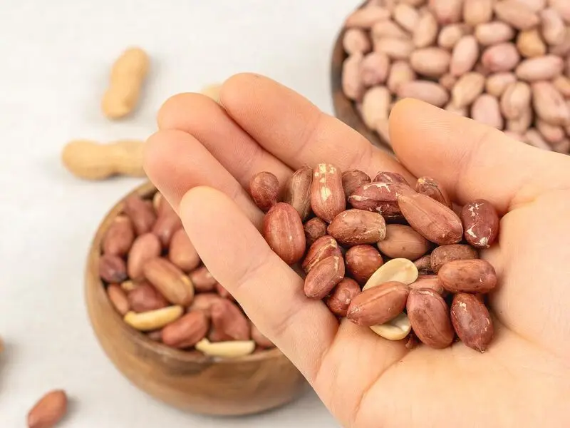 بادام زمینی