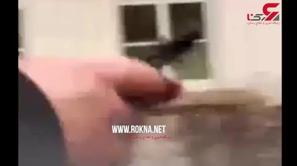 رفتاری جنون آمیز در مبارزه با کرونا ! + فیلم