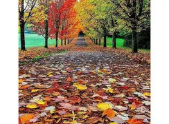 تفسیر فال حافظ 23 آبان 