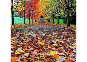 تفسیر فال حافظ 23 آبان 