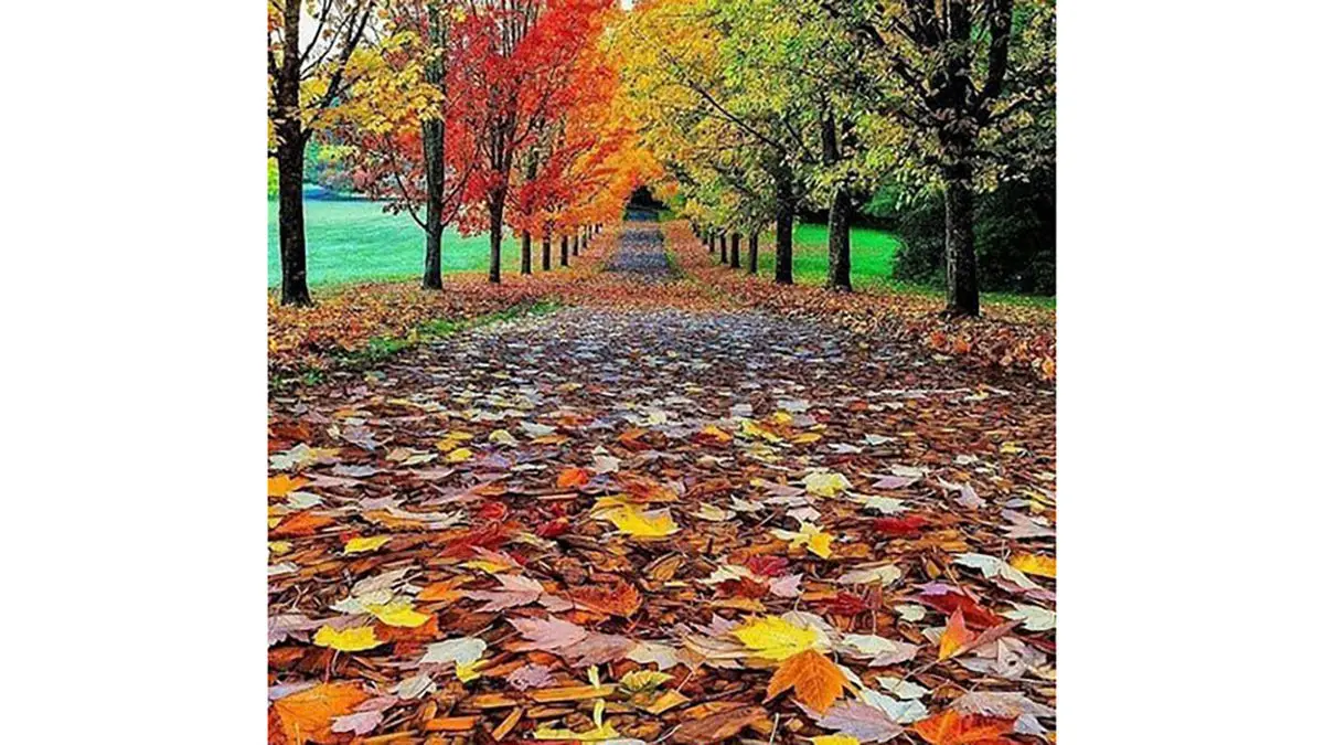 تفسیر فال حافظ 23 آبان