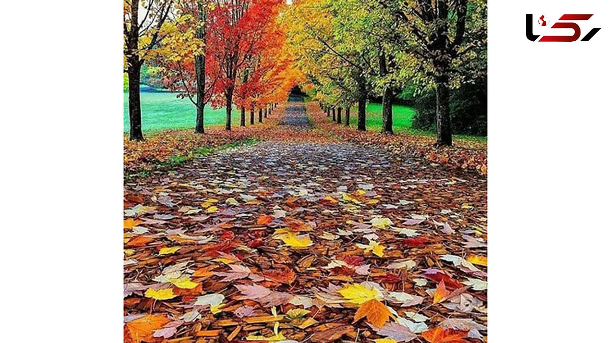 تفسیر فال حافظ 23 آبان 