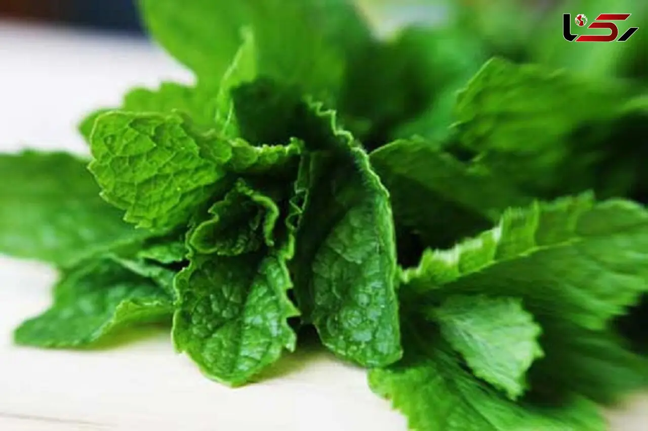 سنگ کلیه را با یک سبزی معطر نابود کنید