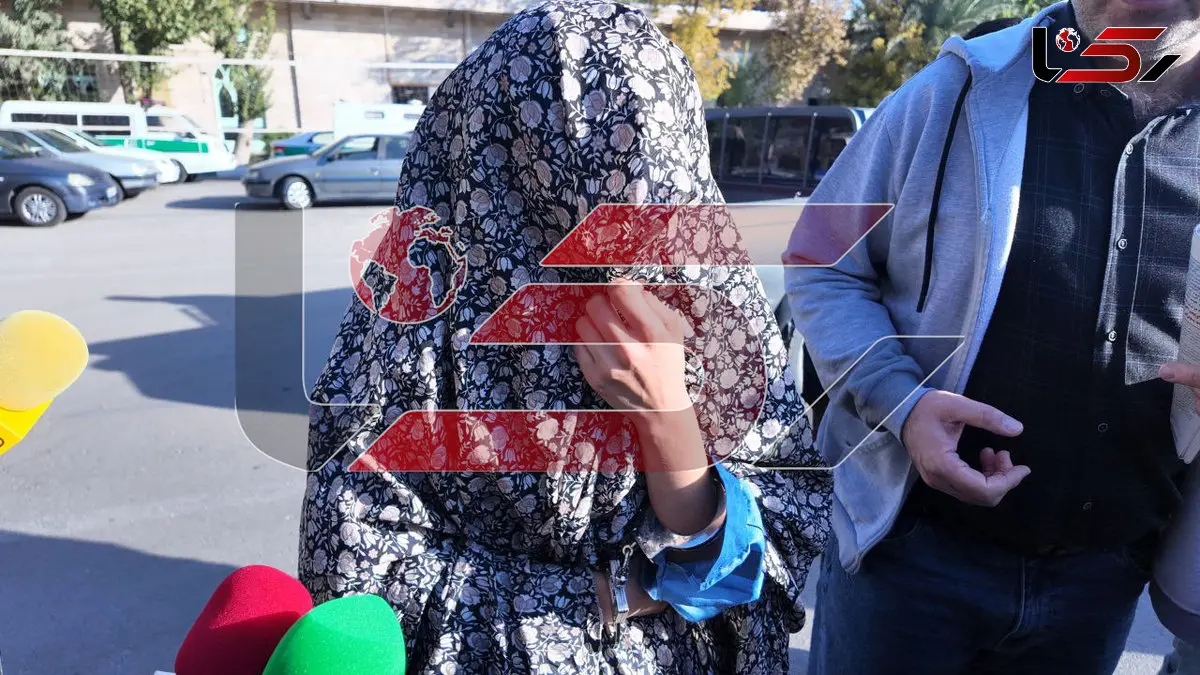 زن هنرمند با شاه‌کلید میلیاردی از خانه‌ها سرقت می‌کرد + فیلم گفتگو