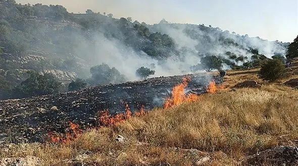 شناسایی عاملین آتش سوزی در کرمان