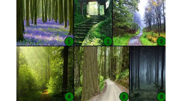 تست : در کدام مسیر قدم می زنید ؟