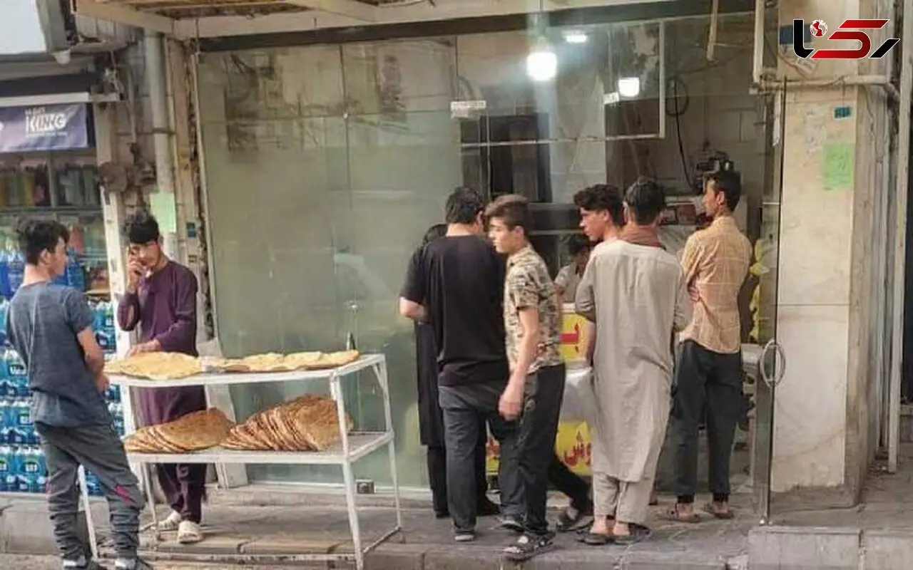 قوانین مهاجران درقانون اساسی نیاز به بازبینی دارد/اتباع با پول آمدند،نشد سرمایه‌گذاری کنند به قطر و ترکیه رفتند