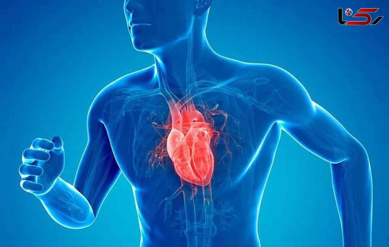 تقویت عضله قلب با کمک این راهکارها