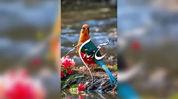 فال و طالع بینی روزانه 7 بهمن + فیلم 