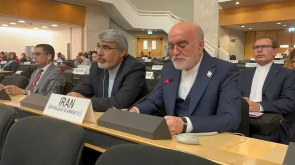 دبیر ستاد حقوق بشر: سکوت شورای امنیت راه را برای ناامنی جهانی باز می‌کند