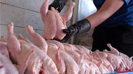 از ساماندهی بازار مرغ چه خبر؟ / جریمه برای مرغدارانی که تا ۵۰ روز مرغ نفروشند