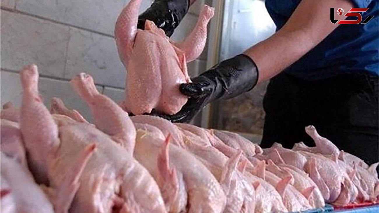 از ساماندهی بازار مرغ چه خبر؟ / جریمه برای مرغدارانی که تا ۵۰ روز مرغ نفروشند