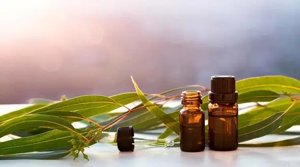 این روغن جادویی پوست را جوان می کند